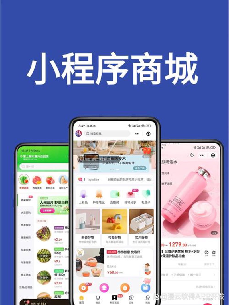 六安小程序开发：轻松打造您的专属业务小助手